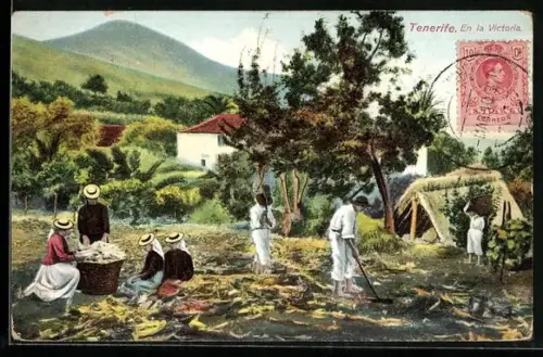AK Tenerife, En la Victoria