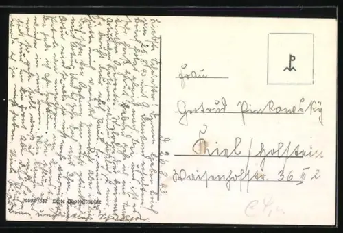 AK Liegnitz, Partie am Hindenburgplatz