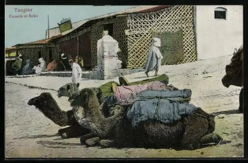 AK Tangier, Camels at Soko, Lastkamele bei einer Rast
