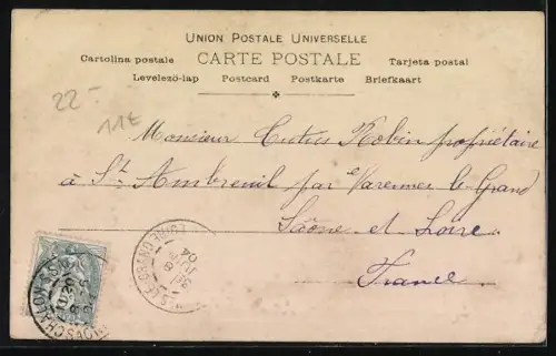 AK Jagdhunde auf einem Feldweg