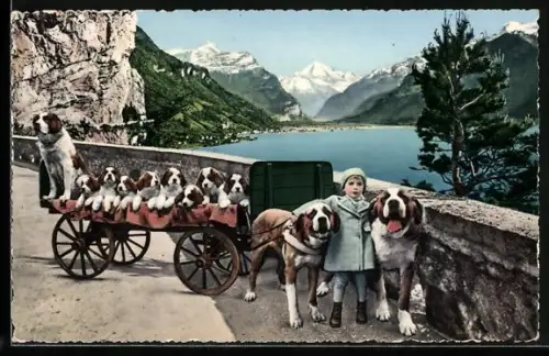 AK Mädchen mit ihren Bernhardiner, Welpen auf dem Fuhrwerk, Schlittenhund