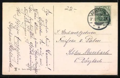 AK Bernhardiner am Waldrand