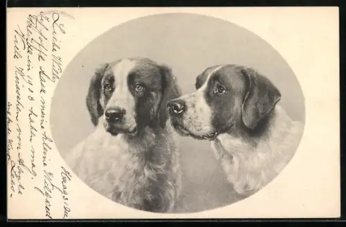 AK Zwei Jagdhunde, Portrait