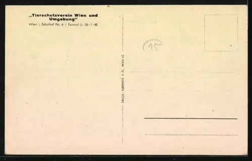 AK Tierschutzverein Wien und Umgebung mit Hunde in einer Tierfreundschaft