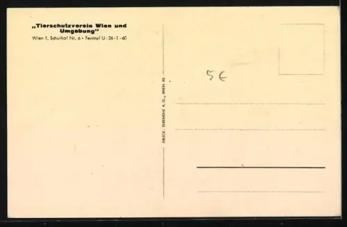 AK Tierschutzverein Wien und Umgebung, Hundewelpen am Milchnapf