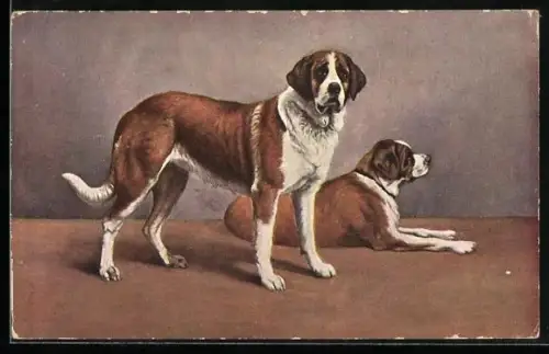 AK Ein liegender und ein stehender Bernhardiner