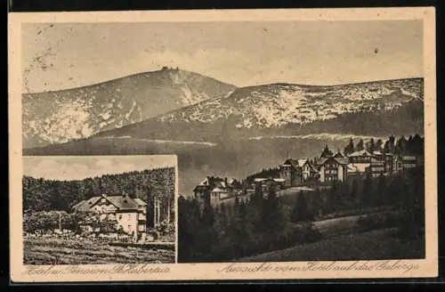 AK Brückenberg, Hotel und Pension St. Hubertus von R. Grossmann, Panorama