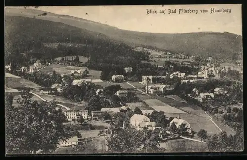 AK Bad Flinsberg, Ortsansicht aus der Vogelschau