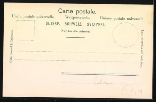 AK Interlaken, Partie am Höheweg mit Urlaubern, Frauen in Trachten