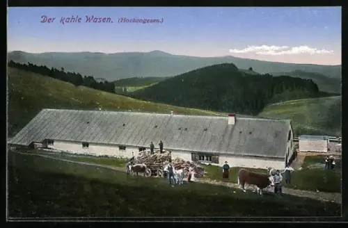 AK Münster, Der kahle Wasen, Scheune mit Strohwagen und Kühen