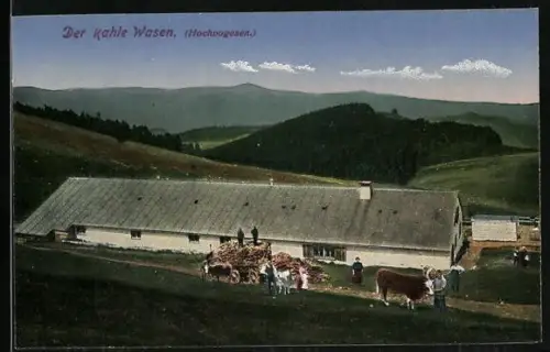 AK Münster, Der Kahle Wasen, Blick auf einen Bauernhof