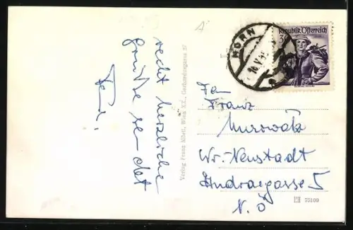 AK Horn /N.-Ö., Blick über die Dächer