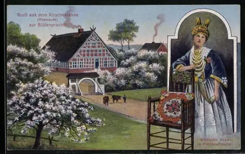 AK Jork, Bauernhaus mit Kirschblüte, Altländer Braut mit Nationaltracht