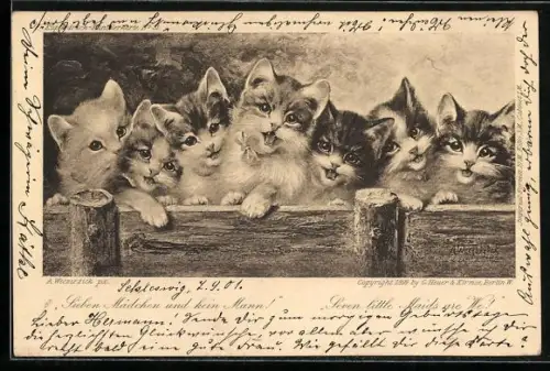 Künstler-AK Kleine Kätzchen schauen über einen Zaun