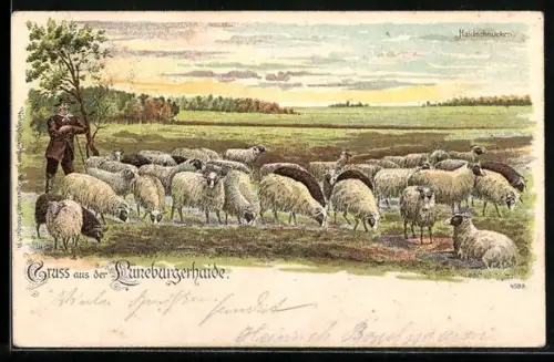 Lithographie Schäfer mit Haidschnuckenherde in der Lüneburger Heide