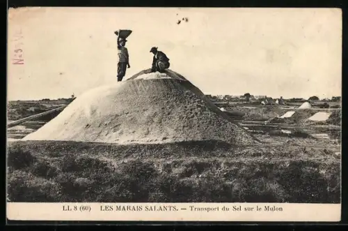 AK Les Marais Salants, Transport su Sel sur le mulon, Salzbergwerk