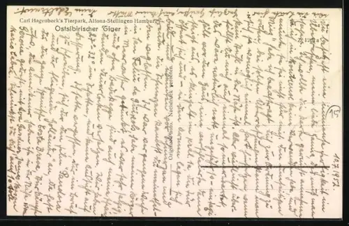 AK Hamburg-Stellingen, Carl Hagenbeck`*s Tierpark, Ostsibirischer Tiger