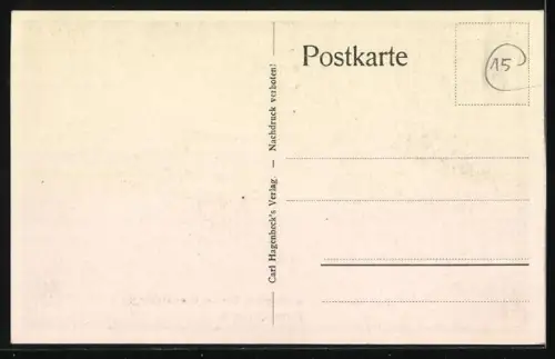 AK Stellingen-Hamburg, Hagenbeck`s Tierpark, Tigerschlucht