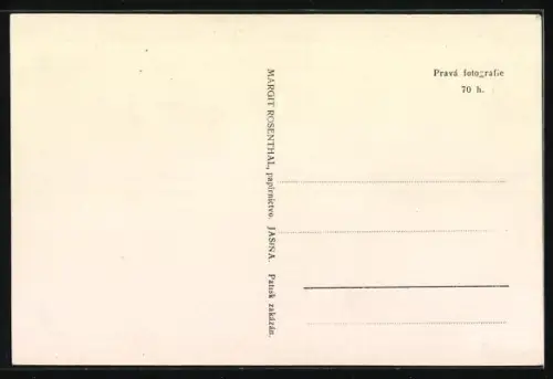 AK Jasina, Strukyvska Kostel, Platz mit Kirche