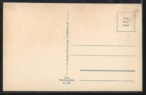 AK Frankfurt a. M., Hauptbahnhof, Strassenbahnen