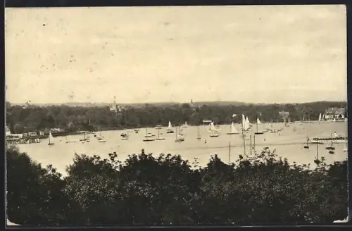 AK Berlin-Wannsee, Blick über den Wannsee mit zahlreichen Segelbooten