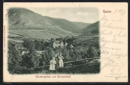 AK Goslar, Herbergertal und Theresienhof