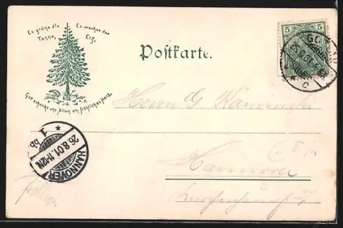 AK Goslar, Herbergertal und Theresienhof