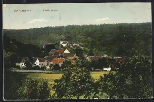 AK Burghessler, Totalansicht des Ortes und Umgebung