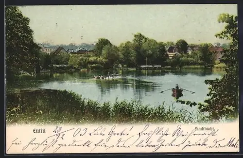 AK Eutin, Stadtbucht mit Ruderbooten