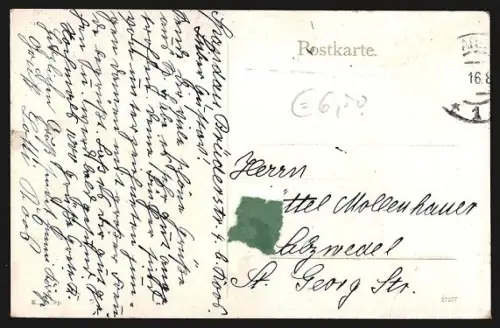 AK Berlin-Spandau, Augusta-Ufer mit Waldpartie