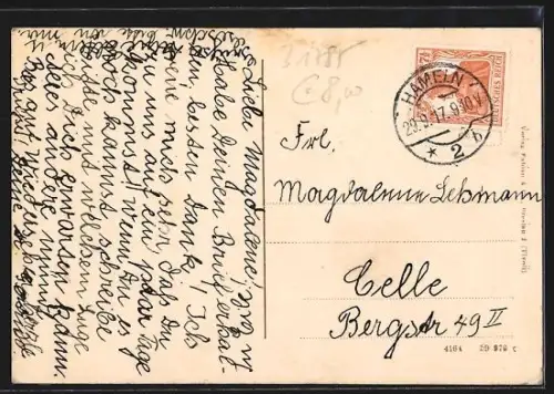 AK Hameln /Weser, Uferpartie mit Dampfer