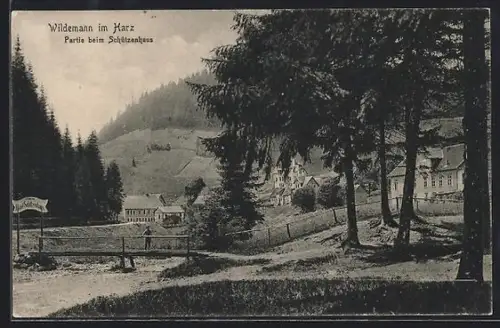 AK Wildemann im Harz, Hotel Schützenhaus mit Umgebung