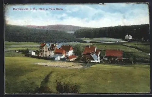 AK Bockswiese i. H., Blick von Villa Maria auf den Ort
