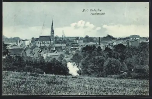 AK Bad Oldesloe, Totalansicht mit Kirche