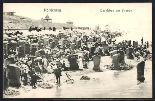 AK Norderney, Strandpartie mit Besuchern und Strandkörben