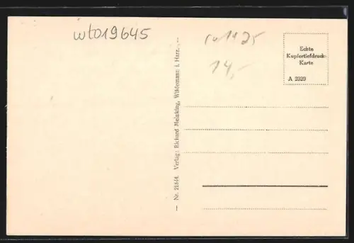 AK Wildemann i. Harz, Blick auf das Johanneser Kurhaus