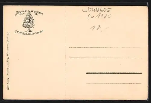 AK Wildemann, Mühle mit Holzbrücke