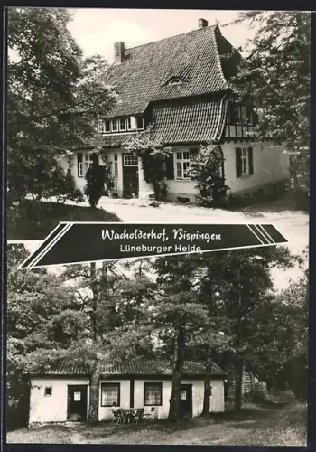 AK Bispingen /Lüneburger Heide, Gasthaus Wacholderhof