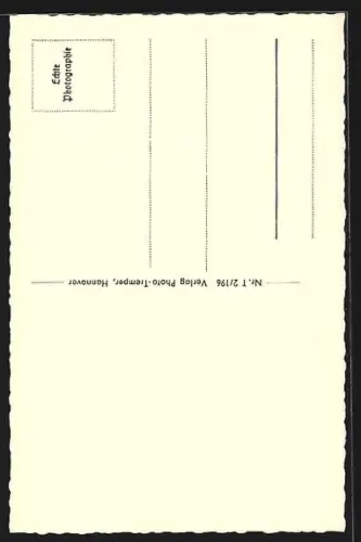 AK Altenau i. Oberharz, Ortsansicht aus der Vogelschau