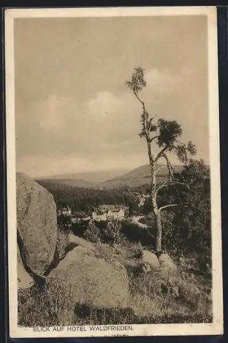 AK Schierke, Blick auf Hotel Waldfrieden, Eigentümer Conrad Schinke