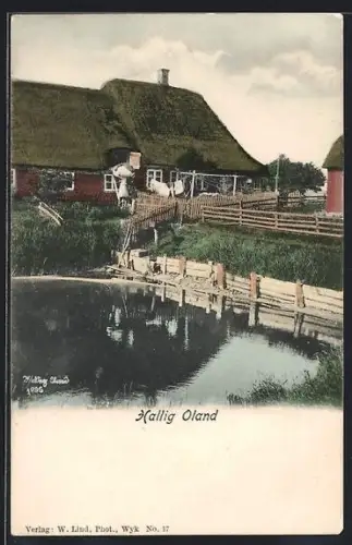 AK Hallig Oland, Ansicht des Warfthauses auf der Hallig