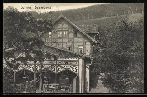 AK Springe, Deisterpforte am Wald