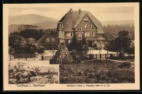 AK Torfhaus / Oberharz, Wulfert`s Hotel und Pension