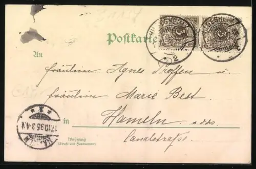 Lithographie Hildesheim, 1000 jähriger Rosenstock am Dom, Rathaus, Häuser am Markt