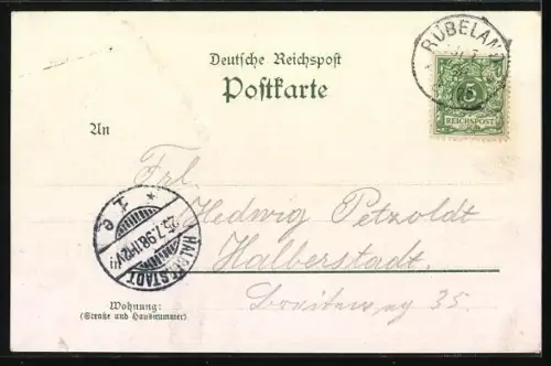 Lithographie Rübeland i. Harz, Hermannshöhle, Ortsansicht aus der Vogelschau