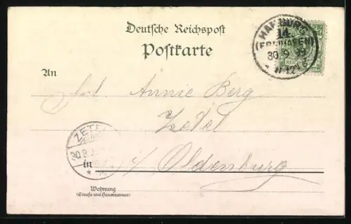 Lithographie Hamburg-St.Pauli, Hafen v. St. Pauli, Elbbrücke, Jungfernbrücke