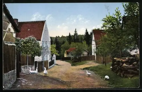 AK Breitenbach / Zeitz, Bauernhäuser, Gänse, ländliche Strasse