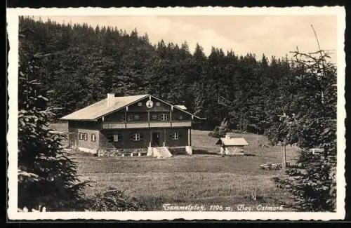 AK Tummelplatz /Bay. Ostmark, Taubensteinhaus