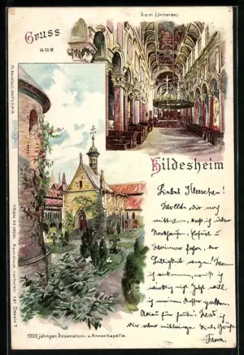 Lithographie Hildesheim, Dominneres, 1000jähriger Rosenstock