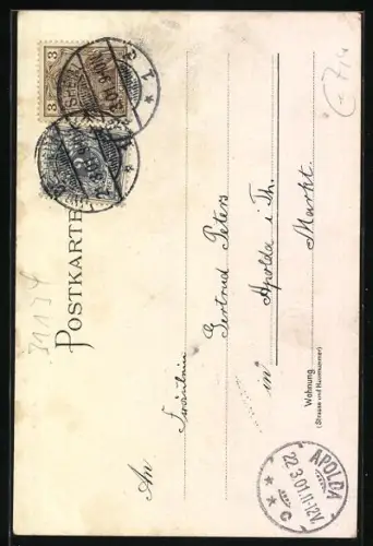 Lithographie Hildesheim, Dominneres, 1000jähriger Rosenstock